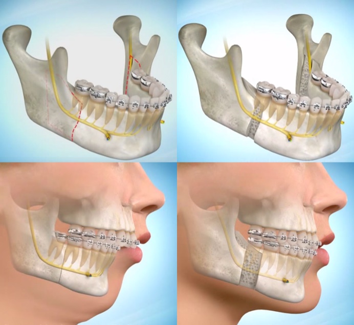 mount lawley orthodontics